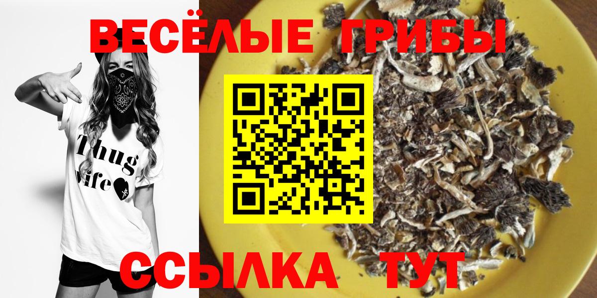 Галлюциногенные грибы GOLDEN TEACHER Ачинск